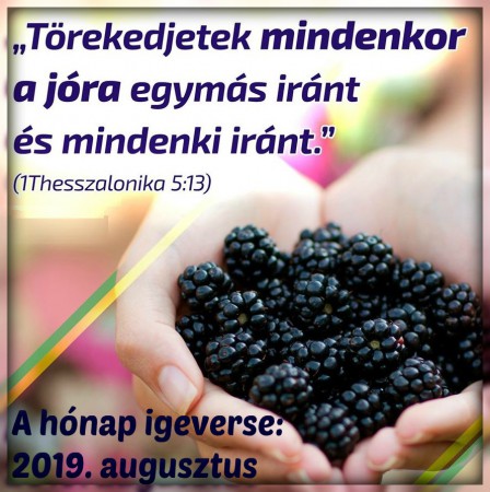 2019 - AUGUSZTUS HÓNAP IGEVERSE